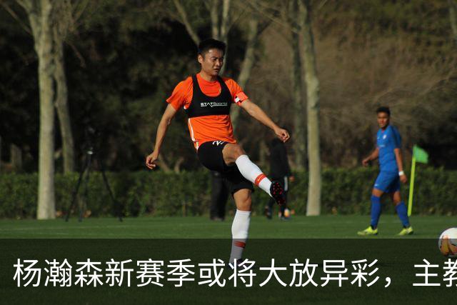 杨瀚森新赛季或将大放异彩，主教练战术恰到好处！